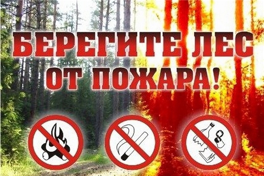 В лесах республики установился 4 (высокий) класс пожарной опасности