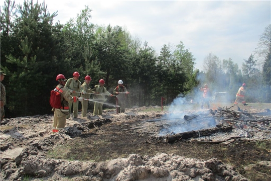 В Ибресинском лесничестве проведены тактико-специальные учения по тушению лесных пожаров