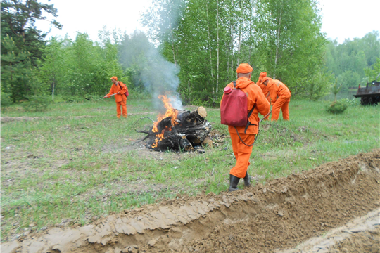 В Кирском лесничестве проведено тактико-специальное учение по тушению лесных пожаров
