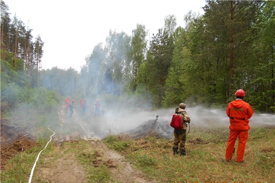 В лесничествах Чувашии продолжаются тактико-специальные учения по тушению лесных пожаров