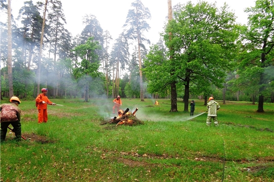 В Шемуршинском лесничестве проведены тактико-специальные учения  по тушению лесных пожаров