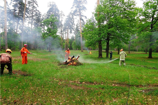В Шемуршинском лесничестве проведены тактико-специальные учения по тушению лесных пожаров