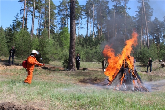 Пожарные учения в Чебоксарском лесничестве