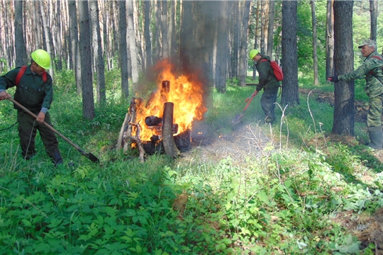 В Шумерлинском лесничестве проведены тактико-специальные учения по ликвидации условного лесного пожара