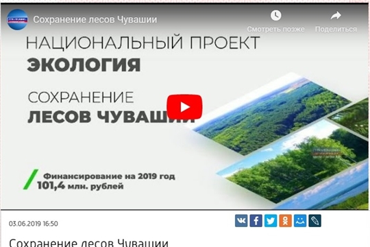 Региональный проект "Сохранение лесов" национального проекта "Экология" (ролик)