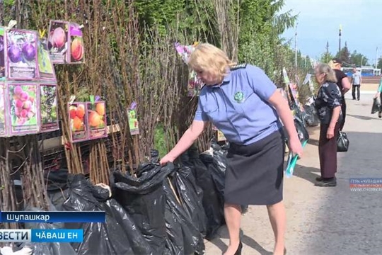 Ял хуҫалӑх надзорӗнчи специалистсем сутакан йывӑҫ-тӗмсене тӗрӗслеҫҫӗ