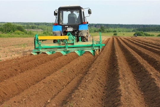 В 6 районах республики выполнены плановые показатели посадки картофеля