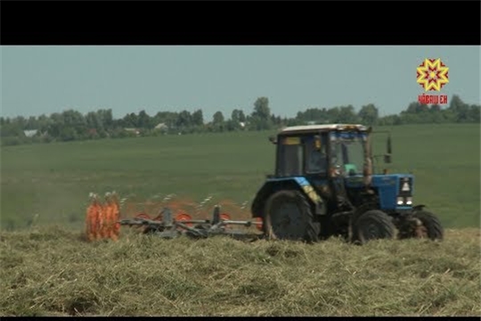 Муркашсем выльăх валли утă хатĕрлеççĕ