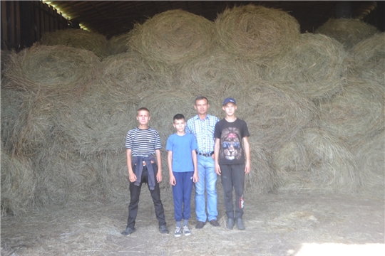Школьники Канашского района помогают аграриям в заготовке кормов.