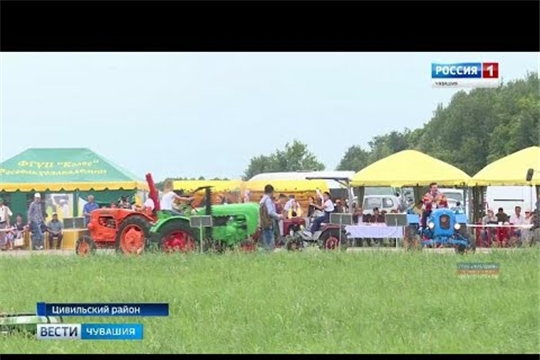Традиционная выставка "День поля" проходит в Цивильском районе