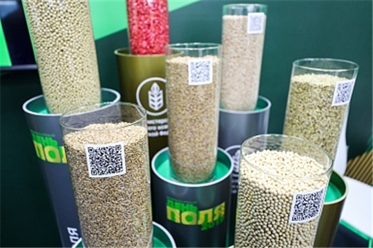 Минсельхоз России разработал прототип системы прослеживаемости семян
