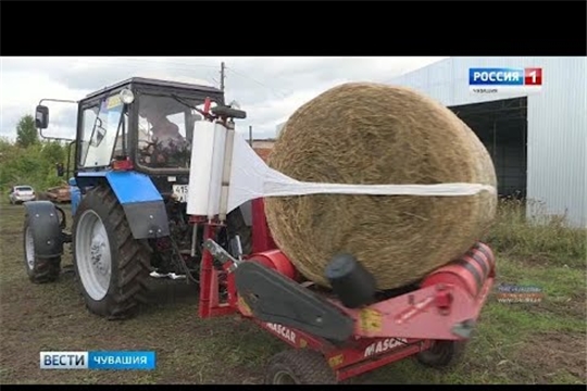 Господдержка помогает фермеру из Красноармейского района развивать хозяйство