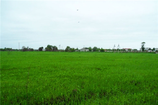 В городе Ядрин многодетным семьям предоставляются земельные участки