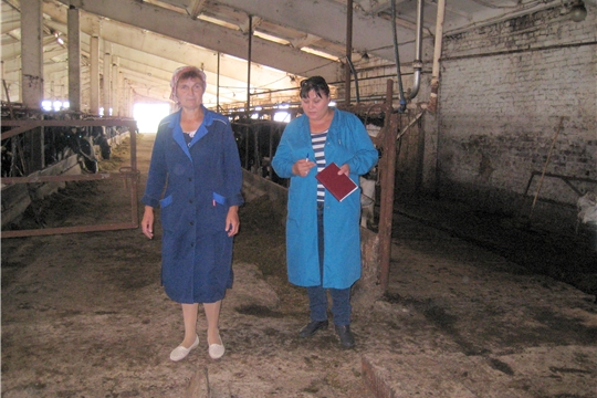 В Моргаушском районе продолжается объезд сельскохозяйственных предприятий по изучению заготовке кормов и подготовке животноводческих помещений к зимовке