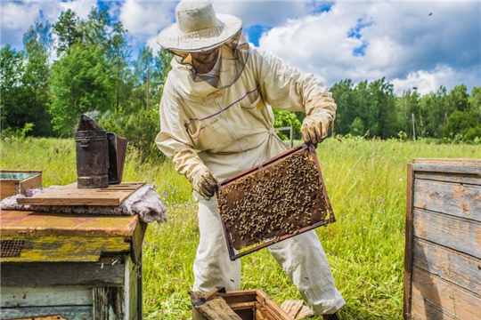 Памятка для сельскохозяйственных производителей и пчеловодов