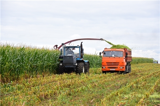 В хозяйствах республики убрано 3,2 тысячи га кукурузы