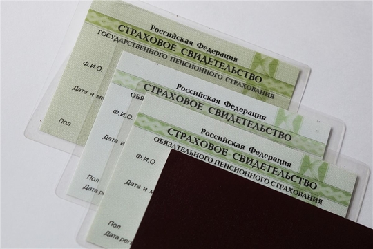 СНИЛС укажут в справке