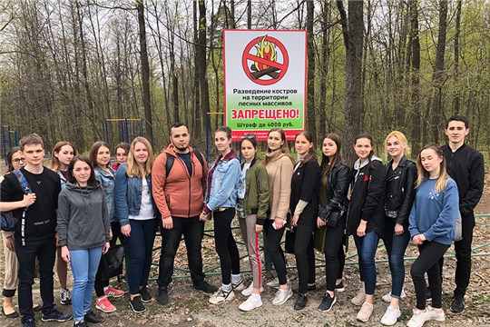 Студенческая молодежь провела экологическую акцию в Берендеевском лесу