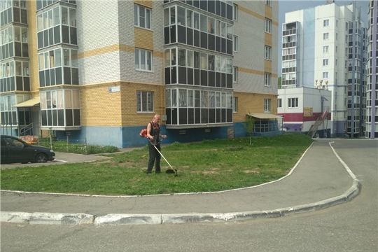 Управляющие компании Московского района г. Чебоксары приступили к покосу травы