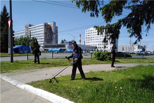 В Московском районе г. Чебоксары полным ходом идут работы по покосу травы