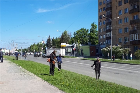 В благоустройстве столицы важна каждая деталь: в Московском районе продолжаются работы по покосу травы