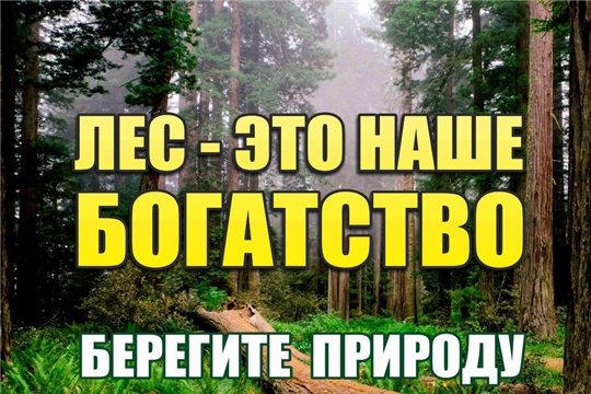 Штрафы за нарушение правил пожарной безопасности в лесах в условиях чрезвычайных ситуаций будут значительно увеличены