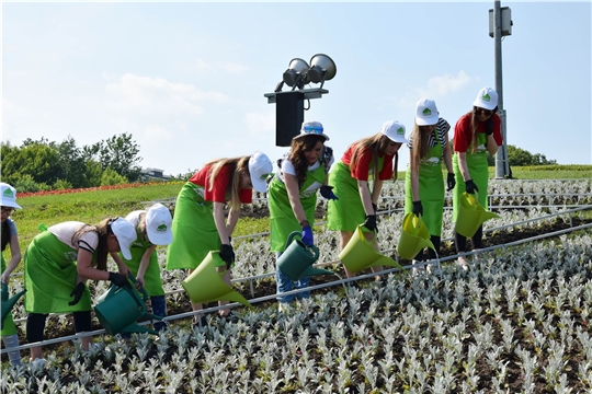 «СТАНЬ ПЕРВЫМ!»: у монумента Матери-Покровительницы появился новый арт-объект – цветочная клумба с цифрой «1»