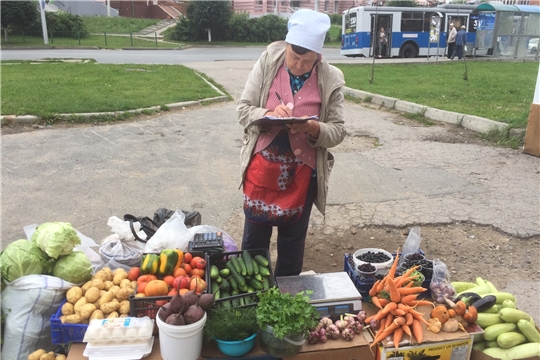 Порядок на городских улицах: в Московском районе пресечена несанкционированная торговля