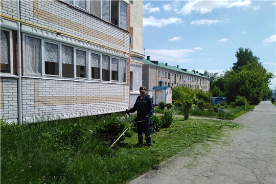 Работники жилищно-коммунальной сферы Московского района продолжают работу по покосу травы