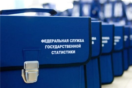 С 3 по 30 августа на территории Московского района г. Чебоксары выборочно будут обследованы домохозяйства