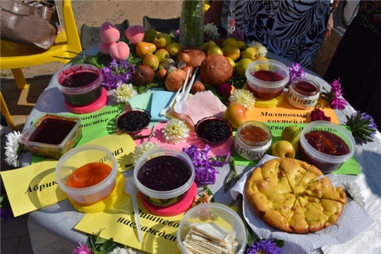 В День города Чебоксары пройдет фестиваль «Ягода-малина» среди территориальных общественных самоуправлений
