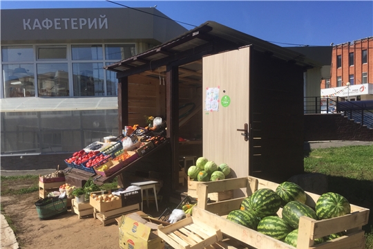На городских улицах должен быть порядок: проведен обход на предмет несанкционированной торговли