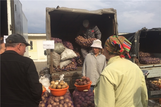 «Дары осени-2019»: 21 сельхозпроизводитель представил свою продукцию жителям Московского района г. Чебоксары