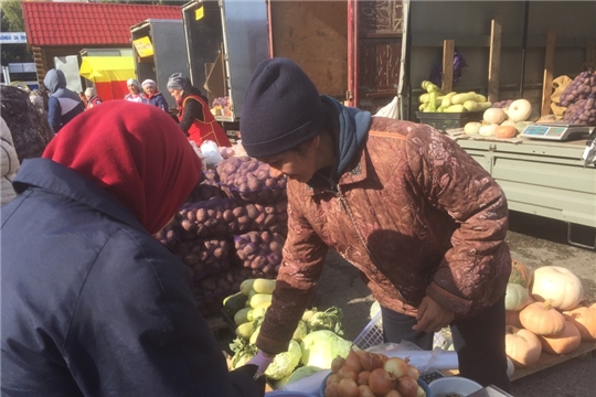 «Дары осени-2019»: в эти выходные жители Московского района приобрели 16,5 тонн картофеля и 6,4 тонн овощей