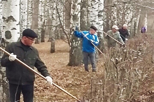 В Ельниковской роще проходят субботники