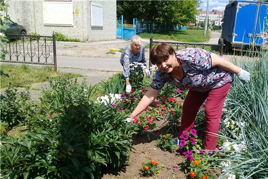 Цветоводы из ТОС «Юраковский» украсили клумбы микрорайона