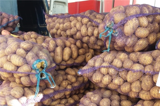 Ярмарка "Дары осени - 2019": реализовано порядка 100 тонн молодого картофеля и более 15 тонн сезонных овощей