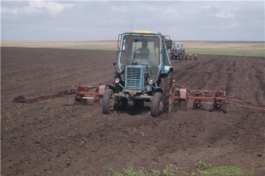 В крестьянских (фермерских) хозяйствах Карабай - Шемуршинского сельского поселения весенние полевые работы продолжаются