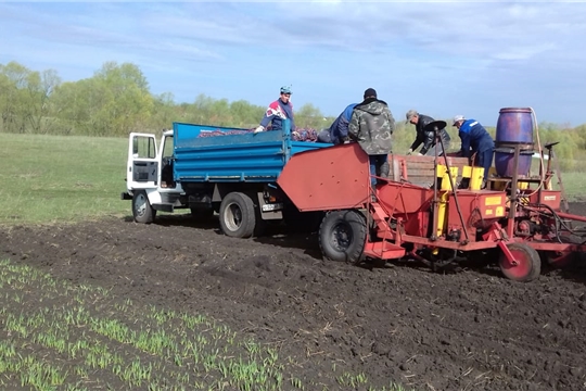 Ход весенне-полевых работ в Шемуршинском районе на 9 мая 2019 года