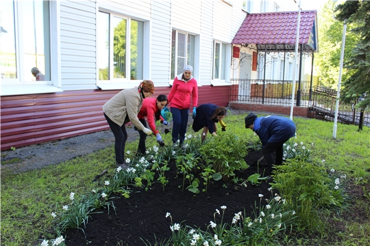 Работники администрации Шемуршинского района провели субботник по благоустройству и озеленению территории здания