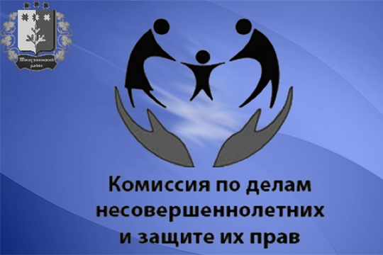 Плановое заседание комиссии по делам несовершеннолетних и защите их прав при администрации Шемуршинского района