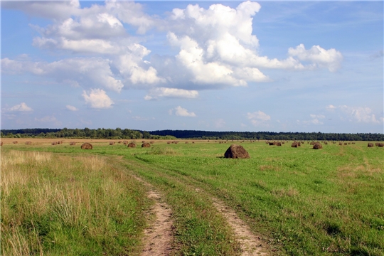 Росреестр подготовил доклад о состоянии и использовании земель в Чувашской Республике по итогам 2018 года