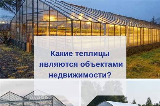 Росреестр разъясняет в каких случаях можно оформить право собственности на теплицу