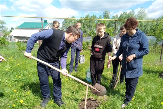 В рамках всемирного единого посадочного дня, установленным Советом отцов, учащиеся Шумерлинской СОШ приняли участие в акции посадки деревьев