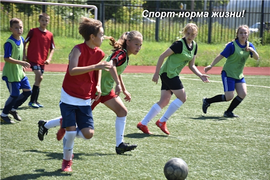 Стартовал региональный этап Всероссийского фестиваля детского дворового футбола