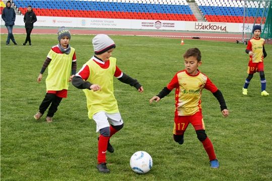 Юные футболисты разыграли награды турнира «Кубок Союза Труда»