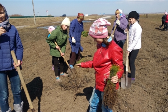 Акция"Посади дерево и сохрани его"