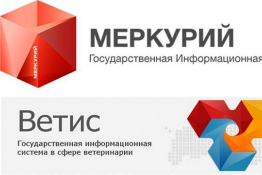 С 1 июля 2019 года оформление ветеринарных сертификатов на всю готовую животноводческую продукцию стало обязательным