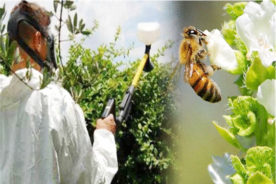 Мероприятия для предупреждения отравления пчел пестицидами