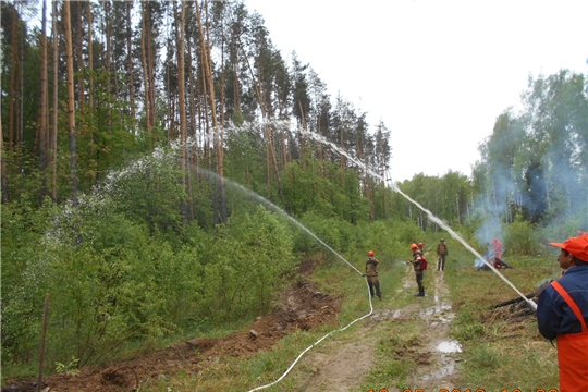 В Вурнарском районе прошли тактико-специальные учения по ликвидации условного лесного пожара